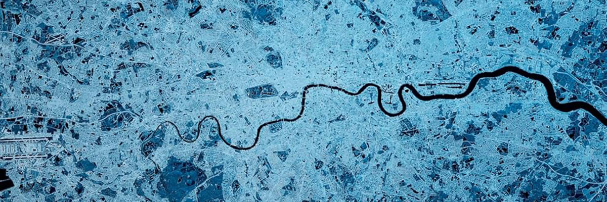 Regions in Evolution book cover image